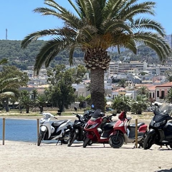 Meet your Posher, Lisa - Picture 1 of 1